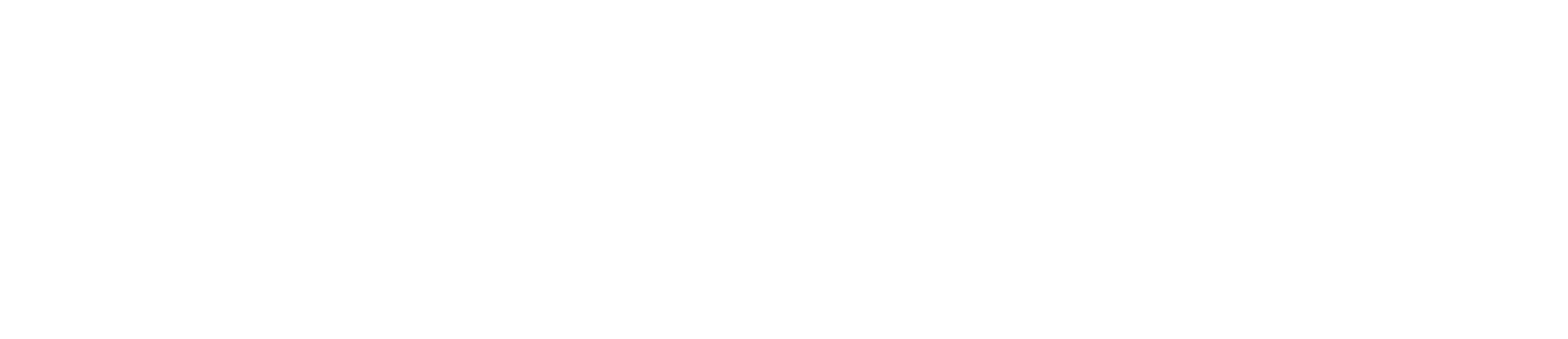 Twin Lane Consulting